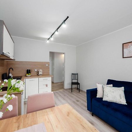 Best Choice 2-Bedroom Apartment Плоцк Экстерьер фото