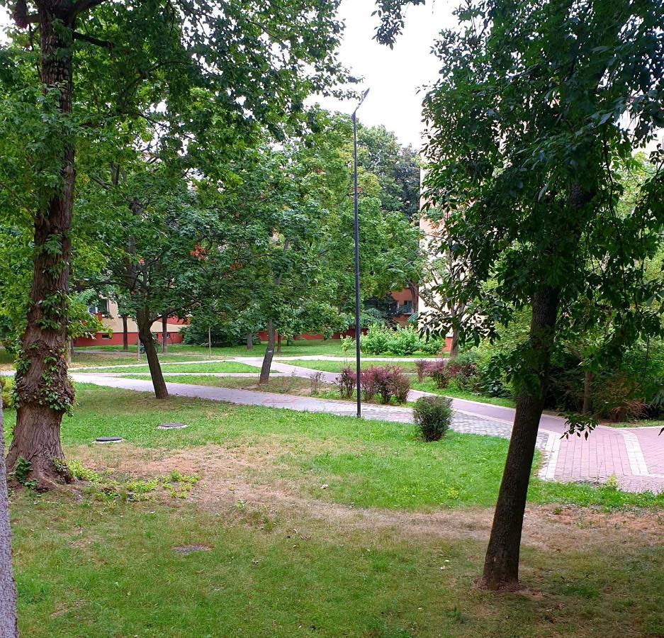 Best Choice 2-Bedroom Apartment Плоцк Экстерьер фото