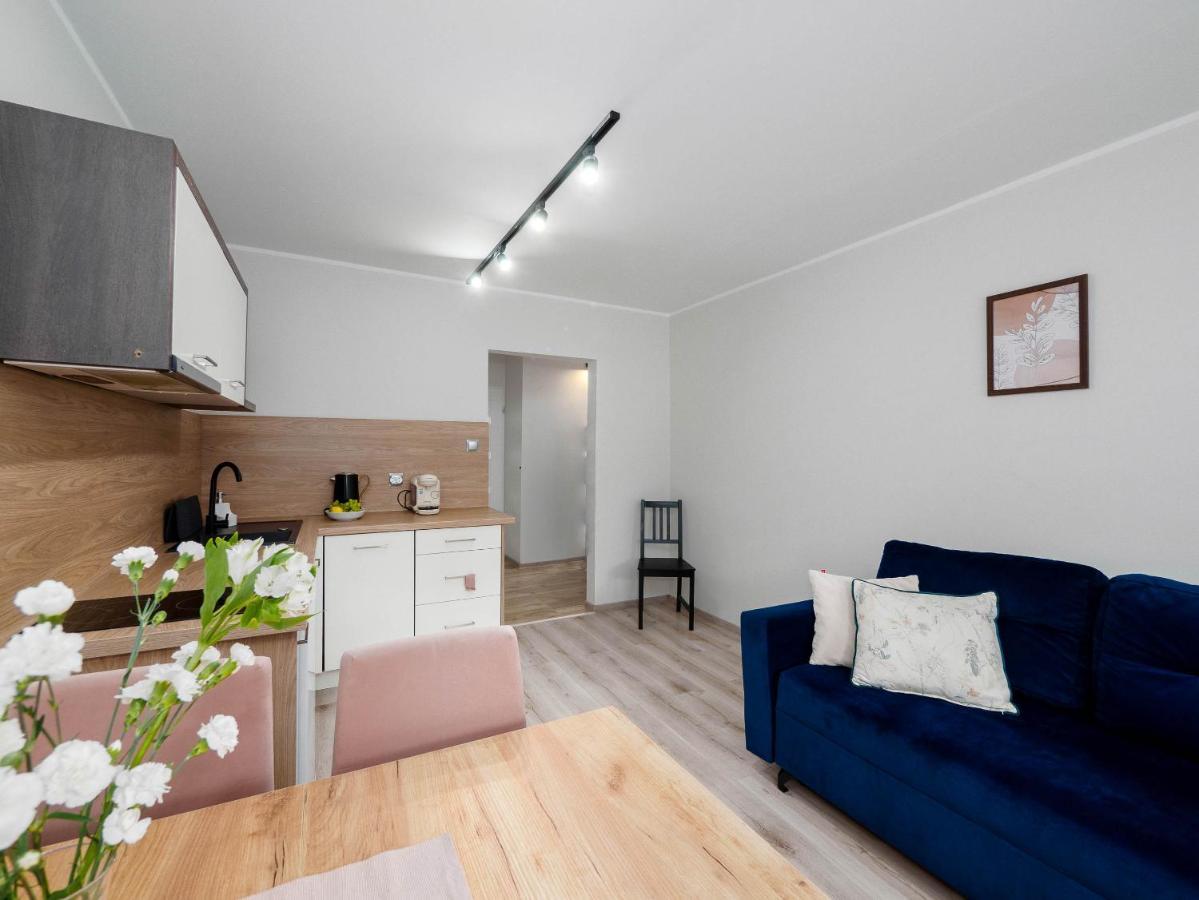 Best Choice 2-Bedroom Apartment Плоцк Экстерьер фото